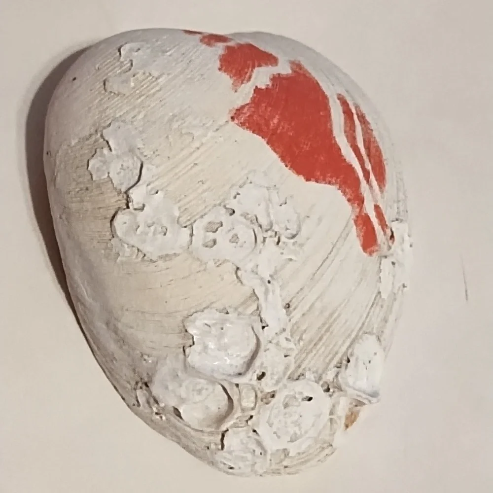 Large Shell with Coral Stencil Shell - Picture 2 of 5